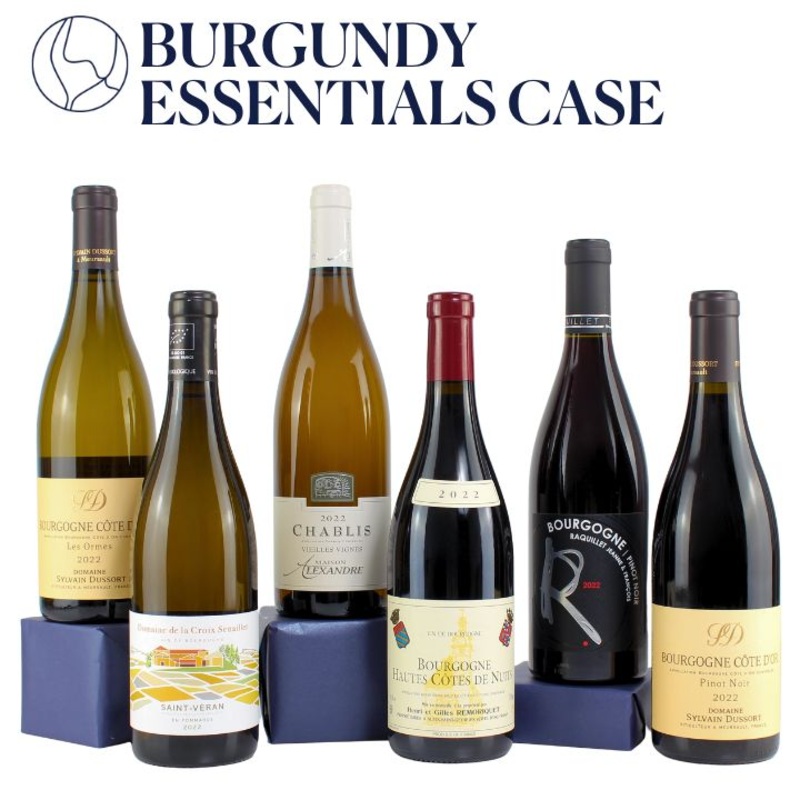 Buyer’s Choice: The Burgundy Essentials Case