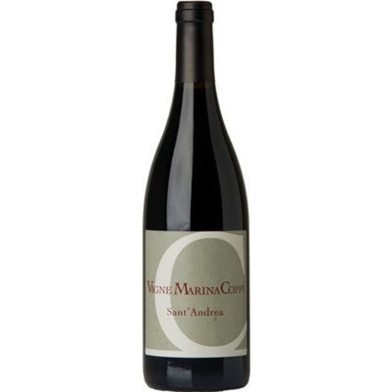 Vigne Marina Coppi,SantAndrea Barbera, 2021 (Case)