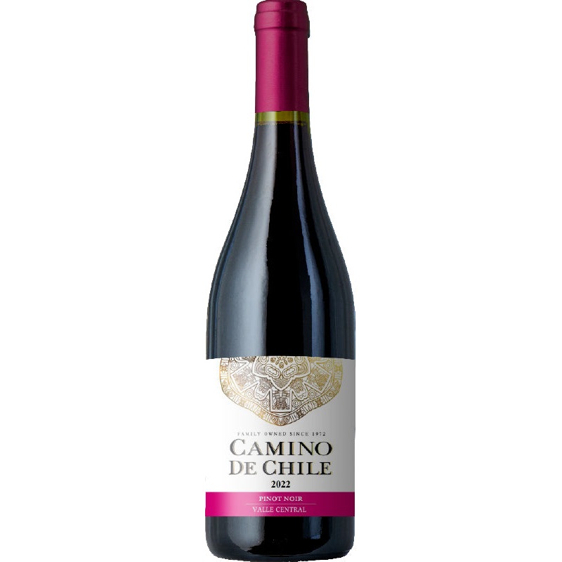 Camino de Chile Pinot Noir 2023