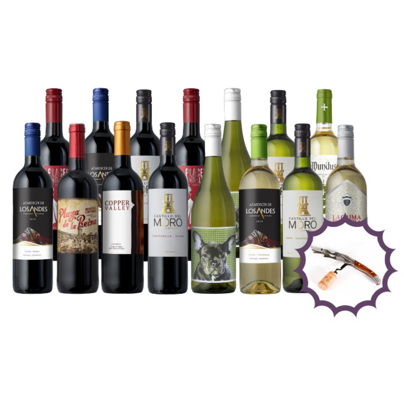 Splash Wines Mega Holiday Groupon 15-Pack + Corkscrew Mixed