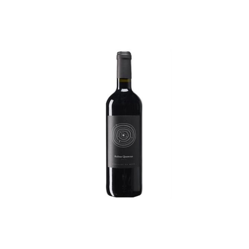 Bodega Jesus Romero Rubus Aragon 2023