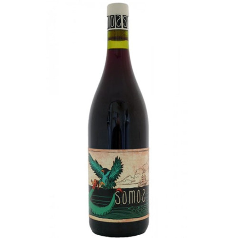 Somos Wines Tintito Red Blend 2022 – 750ML