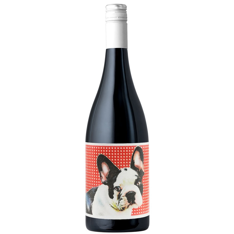 Chiens Catlans Rouge 2021