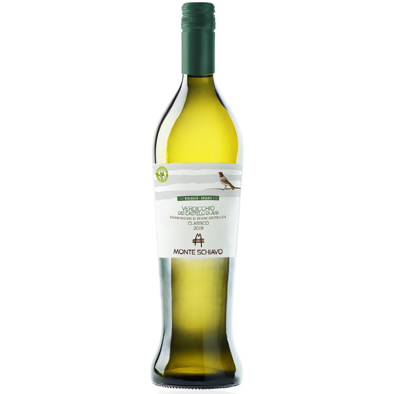 Monte Schiavo Verdicchio Classico Amphora