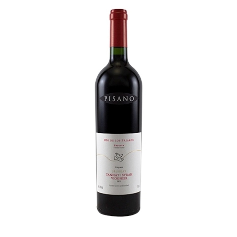 Pisano Rio de Los Pajaros Tannat Syrah Viognier 1 Bottle 75cl