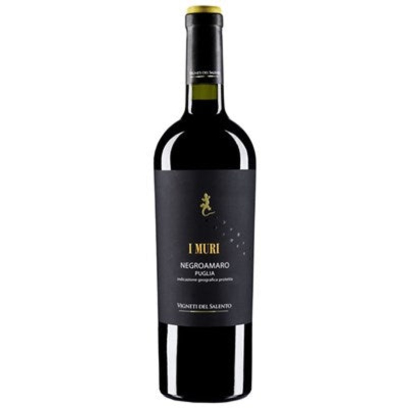 Vigneti del Salento, I Muri Negroamaro, 2024 (Case)