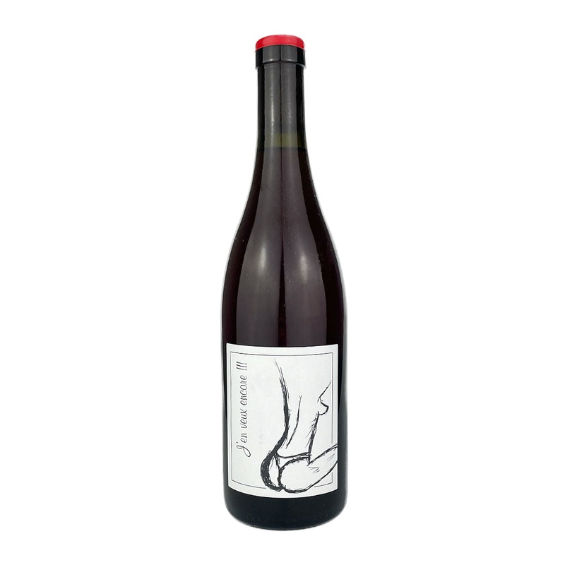 Domaine Jean Francois Ganevat, VDF Rouge J`en Veux Encore