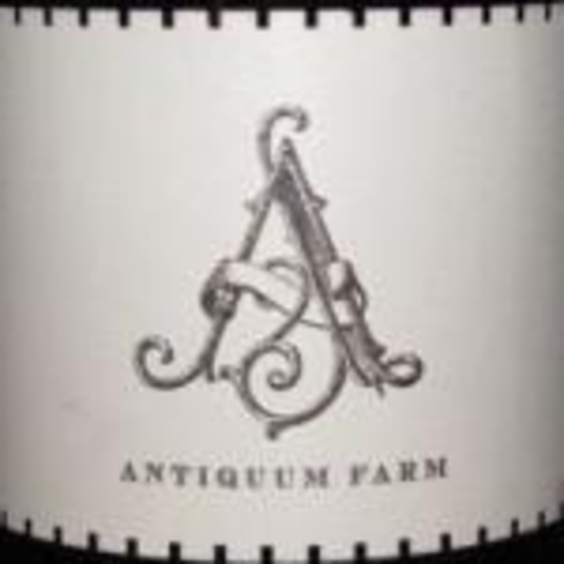 Antiquum ‘Juel’ Pinot Noir