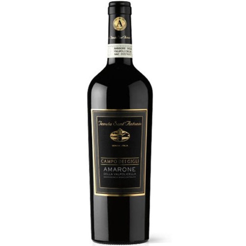 Sant Antonio Amarone Cam Dei G 2017 – 750ml