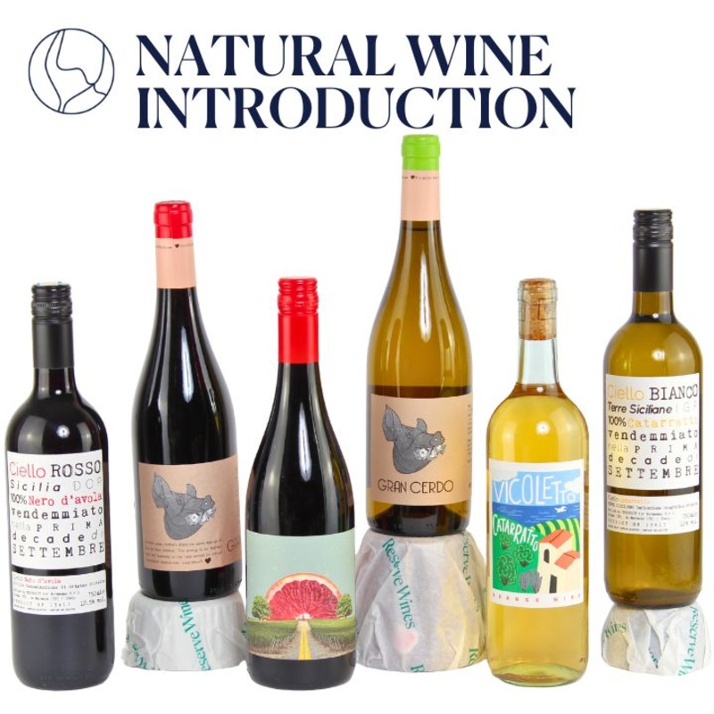Natural Wine – Introduction Case (Free Delivery on this Case!)