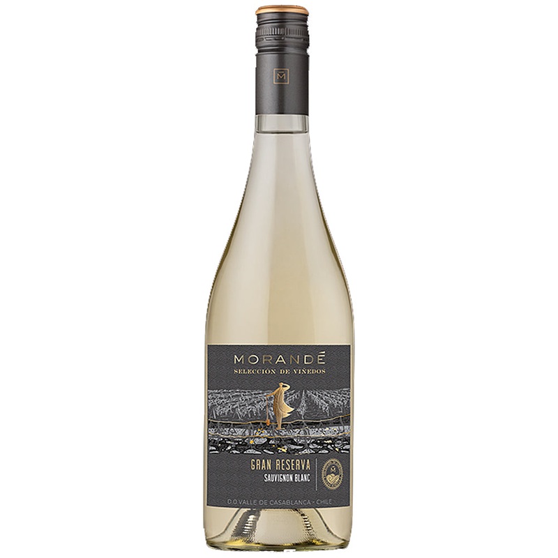 Morand Sauvignon Blanc Gran Reserva 2024 Single Bottle