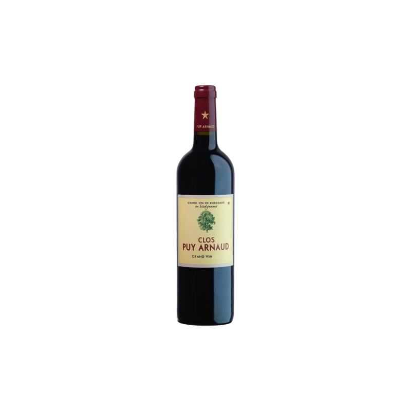 Clos Puy Arnaud Castillon – Cotes de Bordeaux 2019