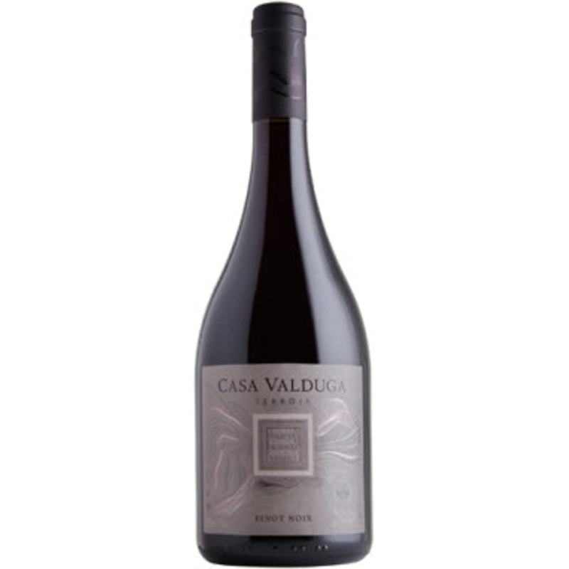 Casa Valduga, Terroir Pinot Noir, 2023 (Case)