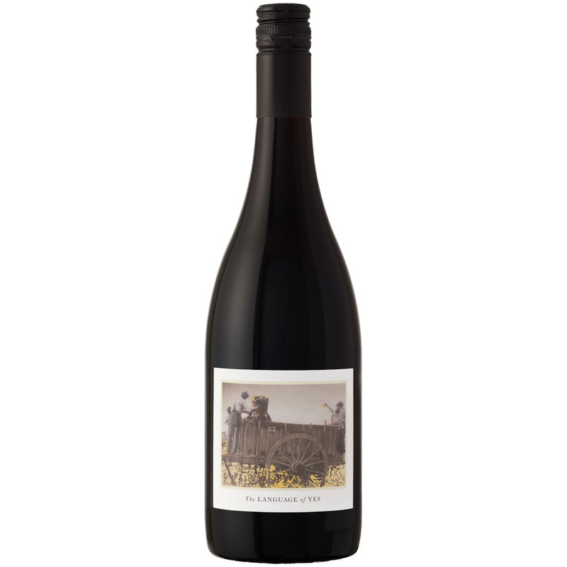 Language of Yes Syrah Santa Maria Valley 2020 Single Bottle