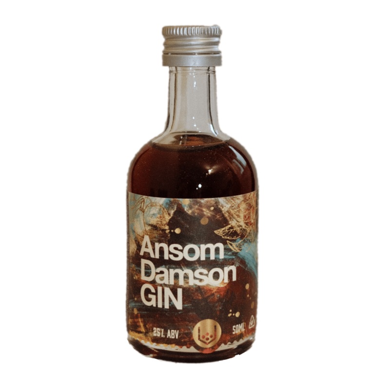 Ansom Damson Gin Miniature 5cl